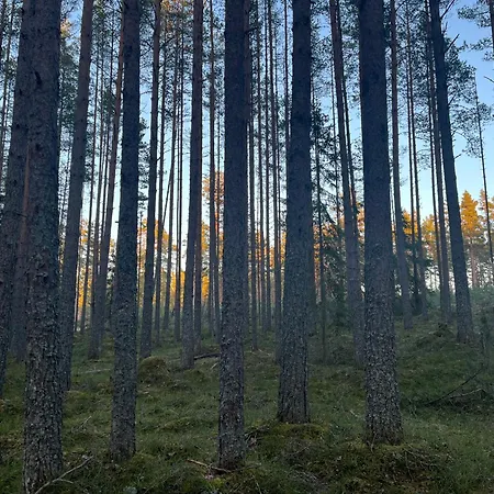 Hébergement de vacances Beachboog Lahemaa