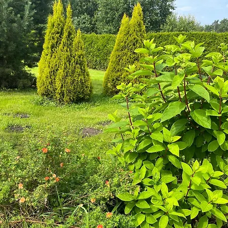 Beachboog Lahemaa Hébergement de vacances